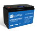 EcoWatt LiFePO4 BMS 12,8V/100Ah 1280Wh ECO-12-100